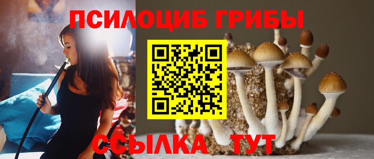 Псилоцибиновые грибы прущие грибы Курчатов
